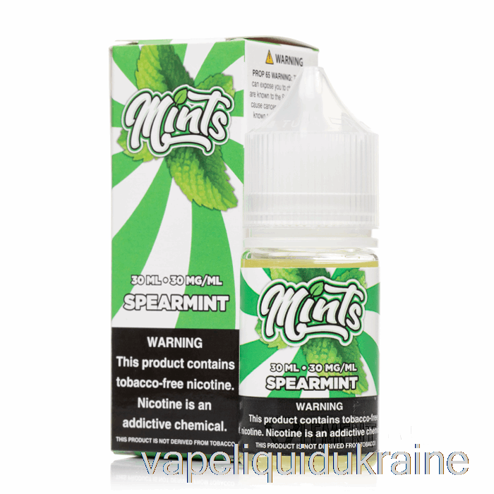 Vape Liquid Ukraine Spearmint Salts - Mints Vape Co - 30mL 50mg